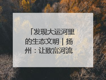 发现大运河里的生态文明｜扬州：让致富河流淌出好生态